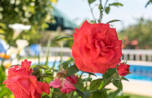 Villa Sao Miguel - Armacao de Pera - Foto 52