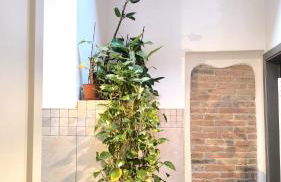 Casa Giulia - Foto 13