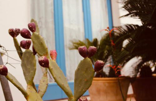 Maison Luigi - Casa Vacanze1 - Foto 25