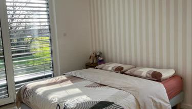 Villa de l'Elbe proche Europapark en Alsace - Foto 2