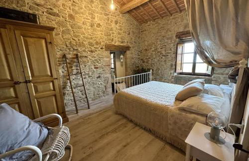 L'oasi delle volpi - Foto 24