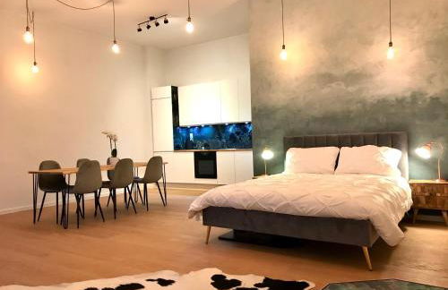 Designer open plan apartment Friedrichshain - Foto 4