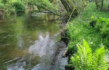 Dom & SPA nad Rzeką - Foto 13