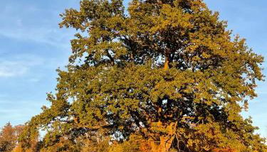 Ferienwohnung Florina - Foto 5