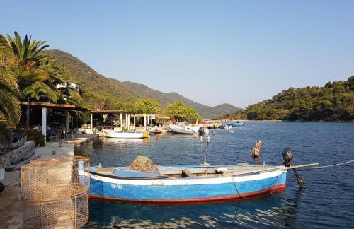 Apartmani Pjevalo-Mljet - Photo 20