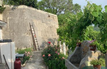 Η θεα traditional house - Foto 7