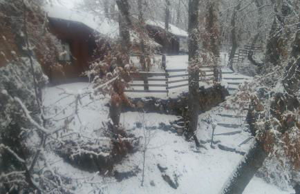 La Albarina - Foto 21