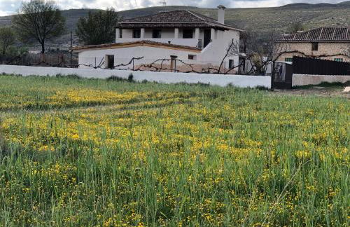 Los Diezmos - Foto 27