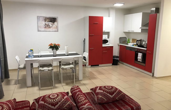 Sahara Falcon - Foto 49