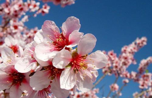 Apartamento El Tinao - Foto 28