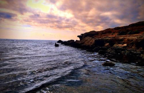 Bajo en Playa Romana Alcossebre - Foto 57