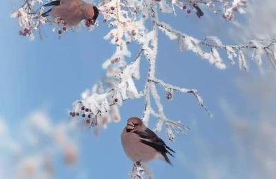 Mid of Nature ' Bella Vista Lago Maggiore charmant mit traumhaften Seeblick, Terrasse und großen Garten - Foto 31
