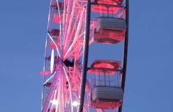 Intero Appartamento con Parcheggio Gratuito - Foto 68