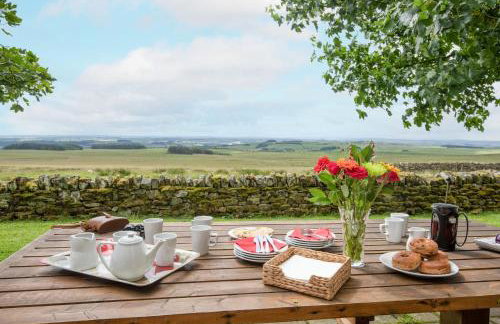 Vesta View - Photo 10