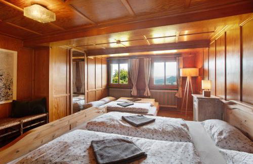 Black Forest Woods - Foto 23