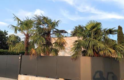 Villa Agapanto - Foto 22