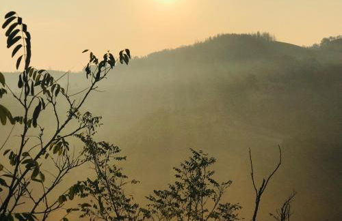 Pizzicalaluna Agriturismo Olistico sulle Colline di Pianoro - Photo 78