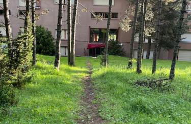 Apartamento Masella pie de pistas. Ideal familias - Foto 19