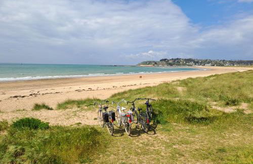 Les Goelettes à 250 m de la plage - Foto 21