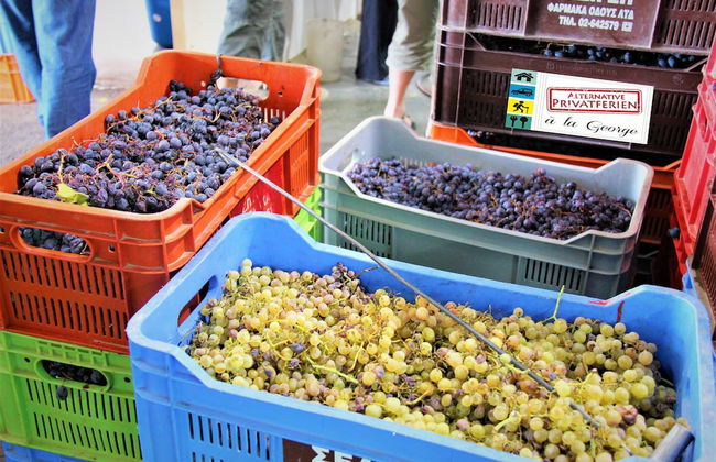 Tzionis Petroktisto Holiday Stonehouse - Photo 61