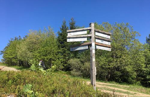 Berg- und Seeblick - Foto 50