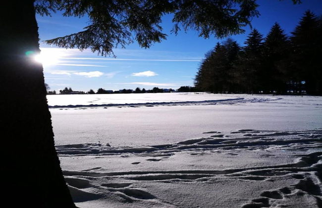 Heatable Pool Retreat - Foto 33