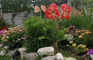 Poly's Sea Side House - Foto 31