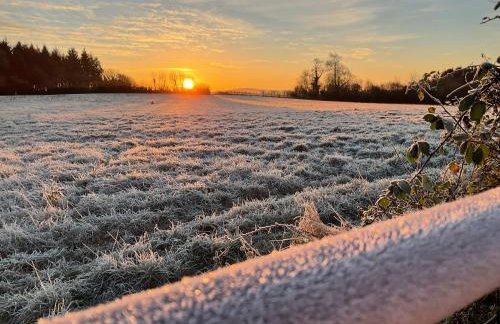 The Wizards Cauldron -Harry Potter Themed - Foto 10