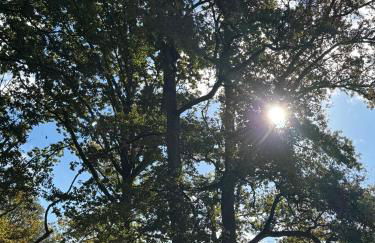 Country house in Forest of Rambouillet - Foto 14