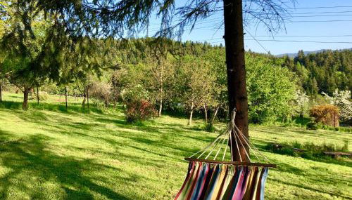 Klimatyczny dom z widokiem na Babią - kominek i ogrodzenie - Foto 3, Garden, Garden view