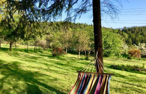 Klimatyczny dom z widokiem na Babią - kominek i ogrodzenie - Foto 3