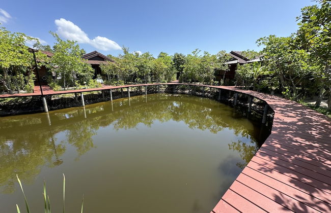 The Beatles Lagoon - Photo 72