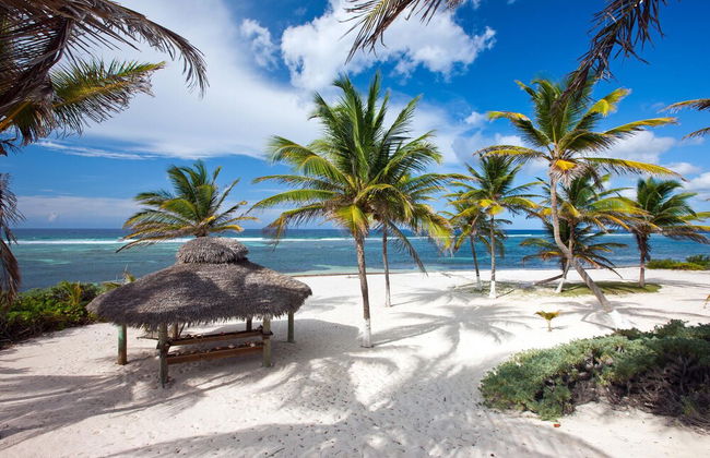 Sea Grape - Photo 29