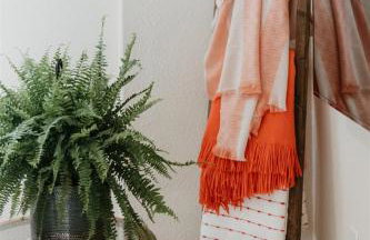 Spacious Cozy and Renovated Mountain Retreat - Foto 23