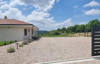 Green Forest - Photo 31