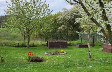 Ferienhaus Naturpur Chorin - Foto 39