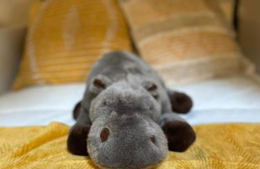 Serengeti Safari Room - Foto 45