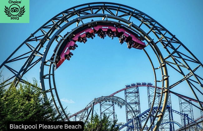 Manor House Farm - Foto 44