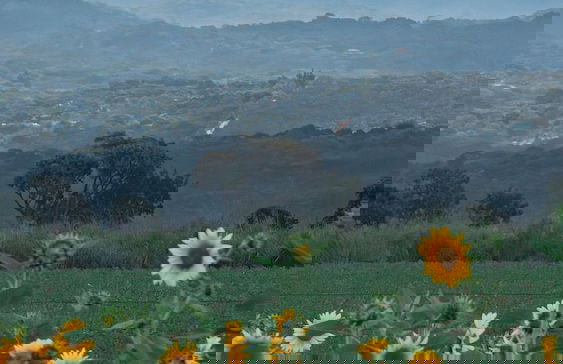 CASA ÔNIX - Foto 31