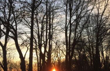 Spreewald-Ferienwohnung Reschke/Jahn - Foto 19