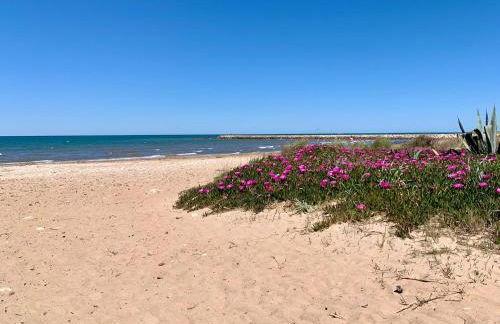 Casa Playa - Photo 15