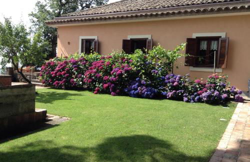 Feudo Algerazzi - Foto 14