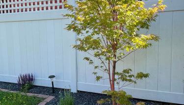 Haus Colonia - Photo 5