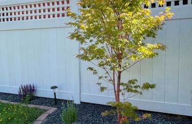 Haus Colonia - Foto 5