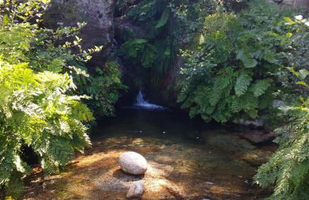 Casa do Pinheiro Manso - Foto 28