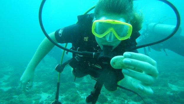 Beginner’s Dive: Your First Underwater Adventure - Photo 2