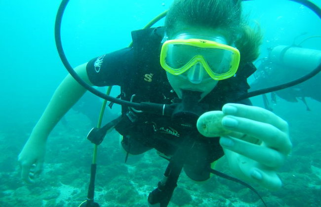 Beginner’s Dive: Your First Underwater Adventure - Photo 2