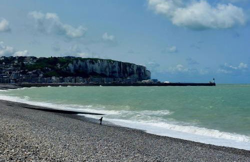 Les Bains de Mers - Foto 12