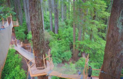 Pacific Seaside House by Pebble Beach & Redwoods - Foto 43