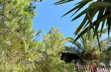 Kalyva Cottage - Foto 28